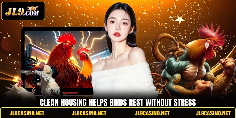 Clean housing helps birds rest without stress