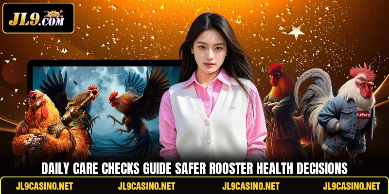 Daily care checks guide safer rooster health decisions