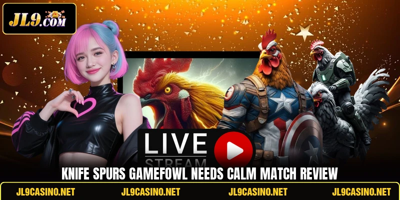 Knife spurs gamefowl needs calm match review Knife spurs gamefowl needs calm match review