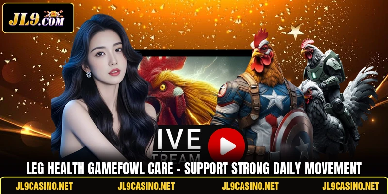 Leg Health Gamefowl Care - Support Strong Daily Movement