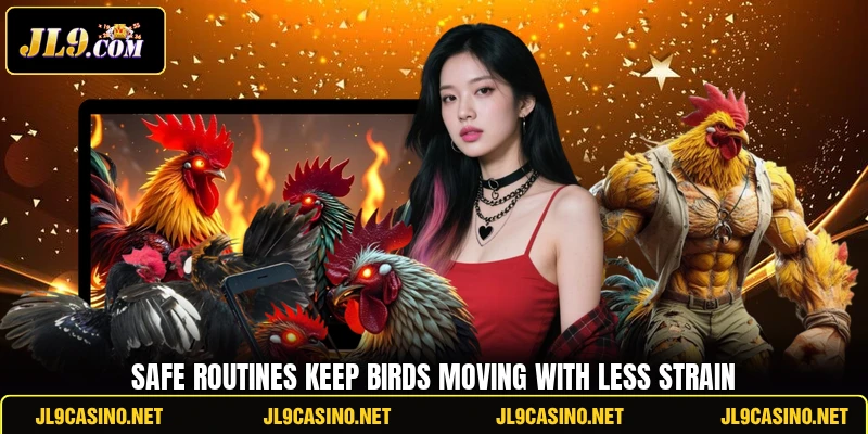 Safe routines keep birds moving with less strain